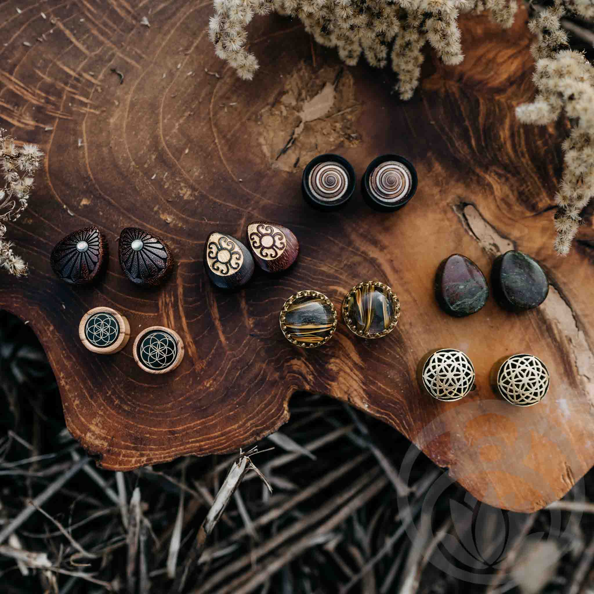 Plugs