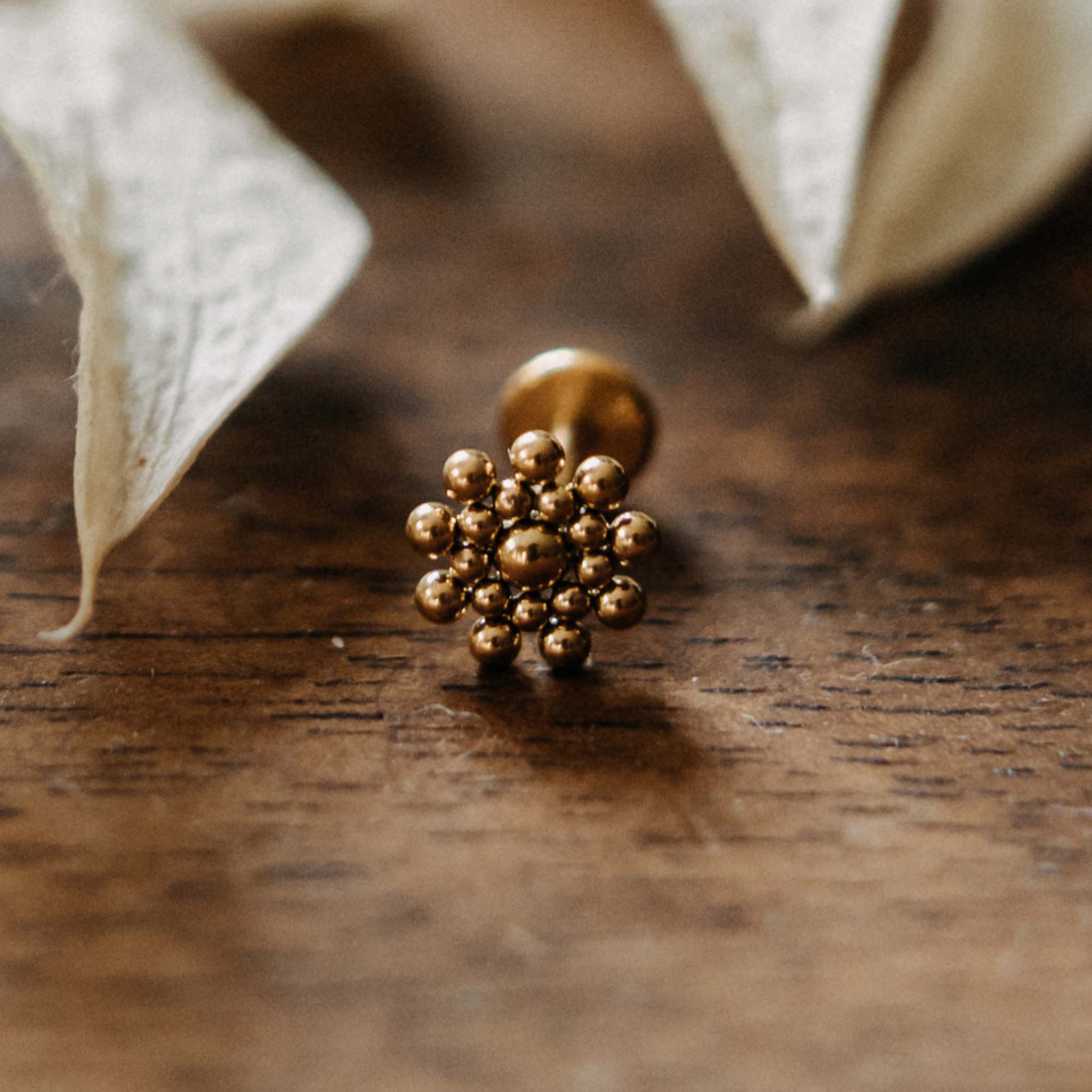 Labret Dhruv Gold / Silver