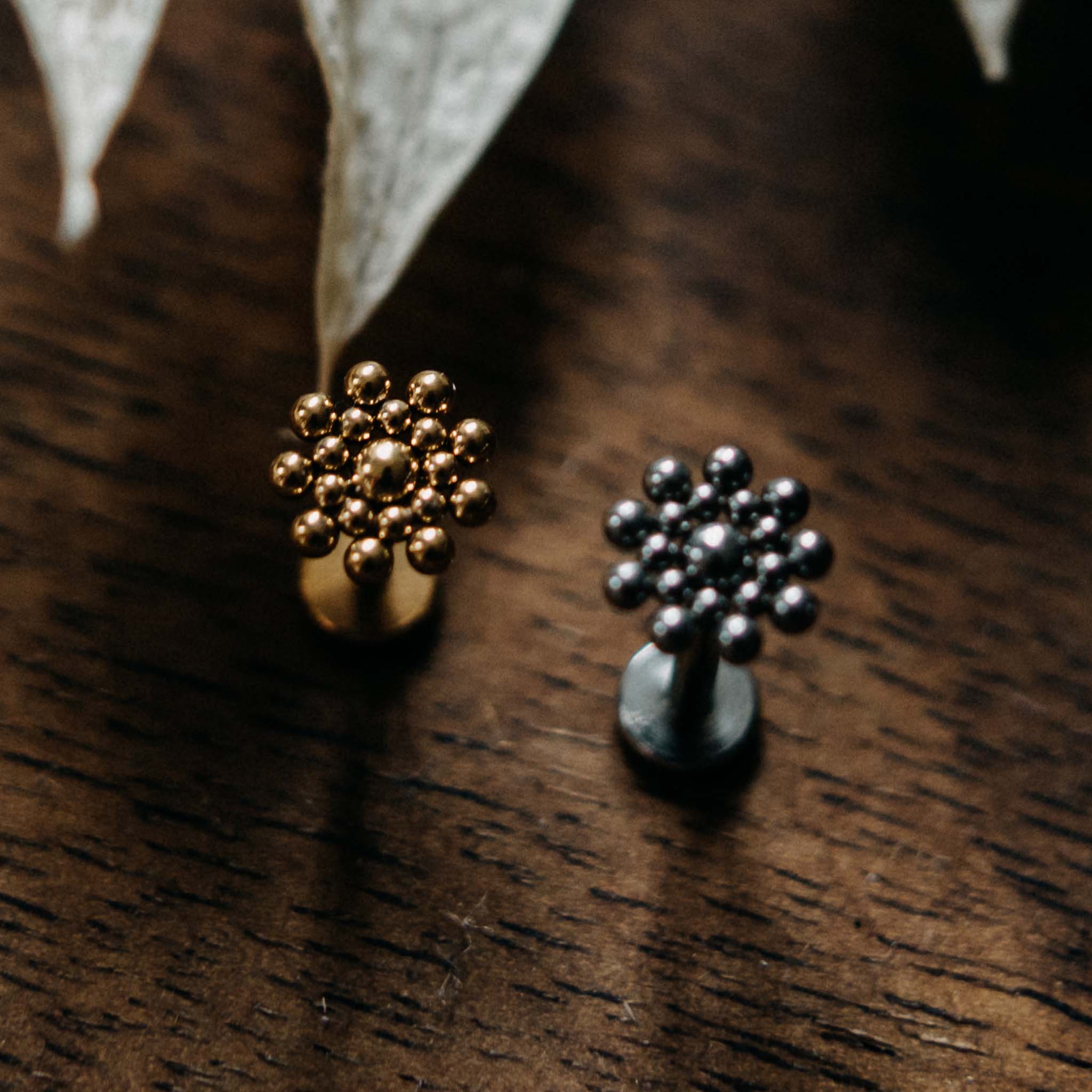 Labret Dhruv Gold / Silver