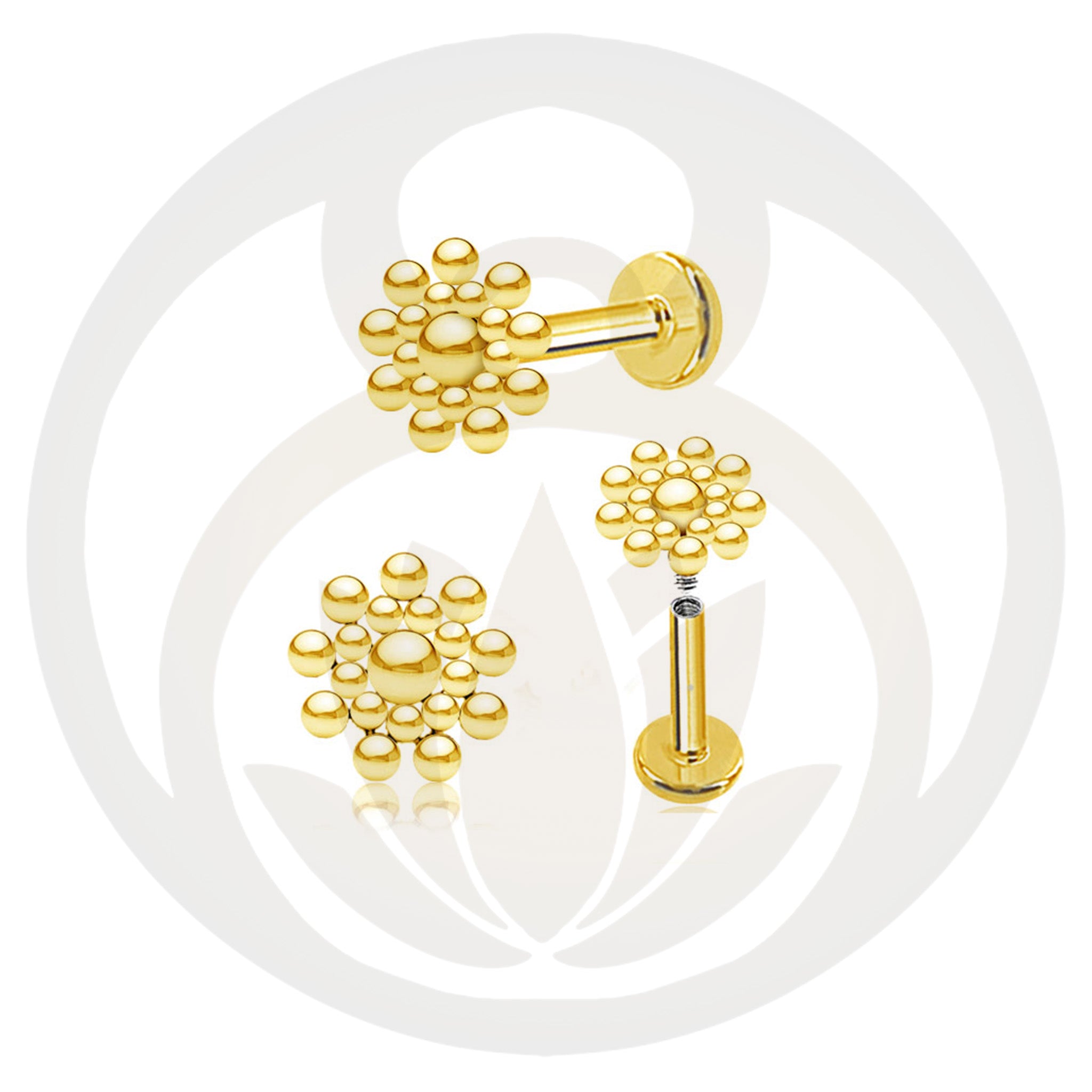 Labret Dhruv Gold / Silver