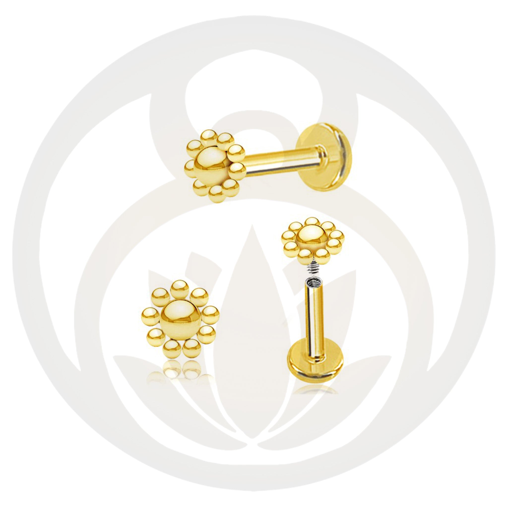 Labret Neel Gold / Silver