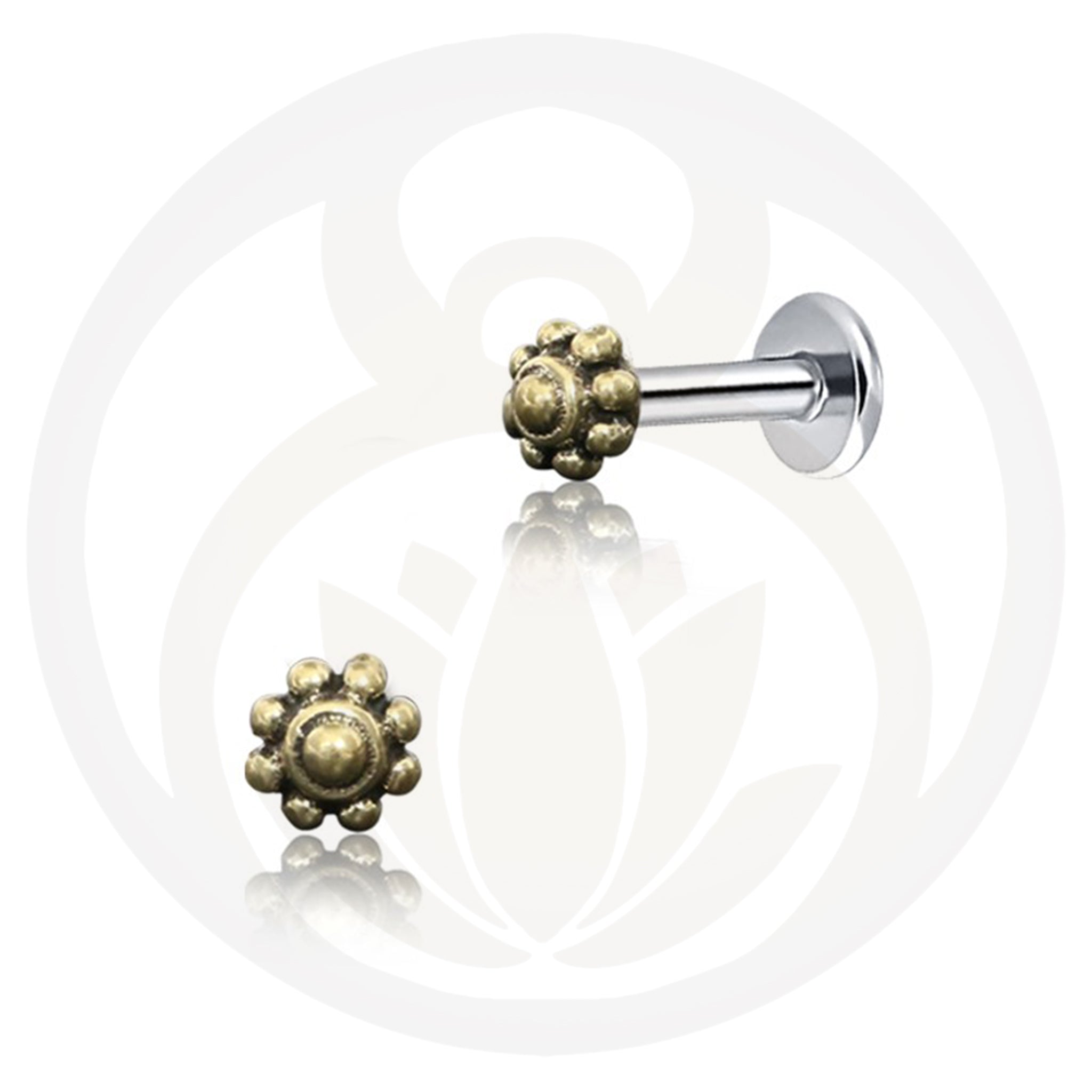 Labret Visvasa Gold/Silver