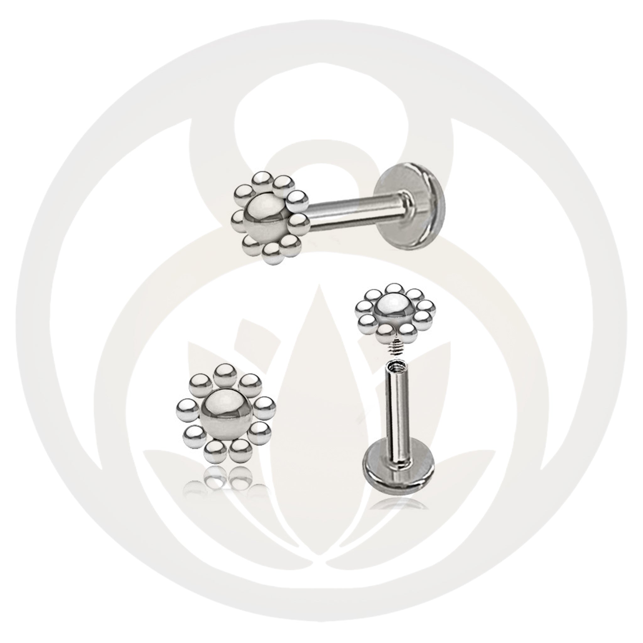 Labret Neel Gold / Silver