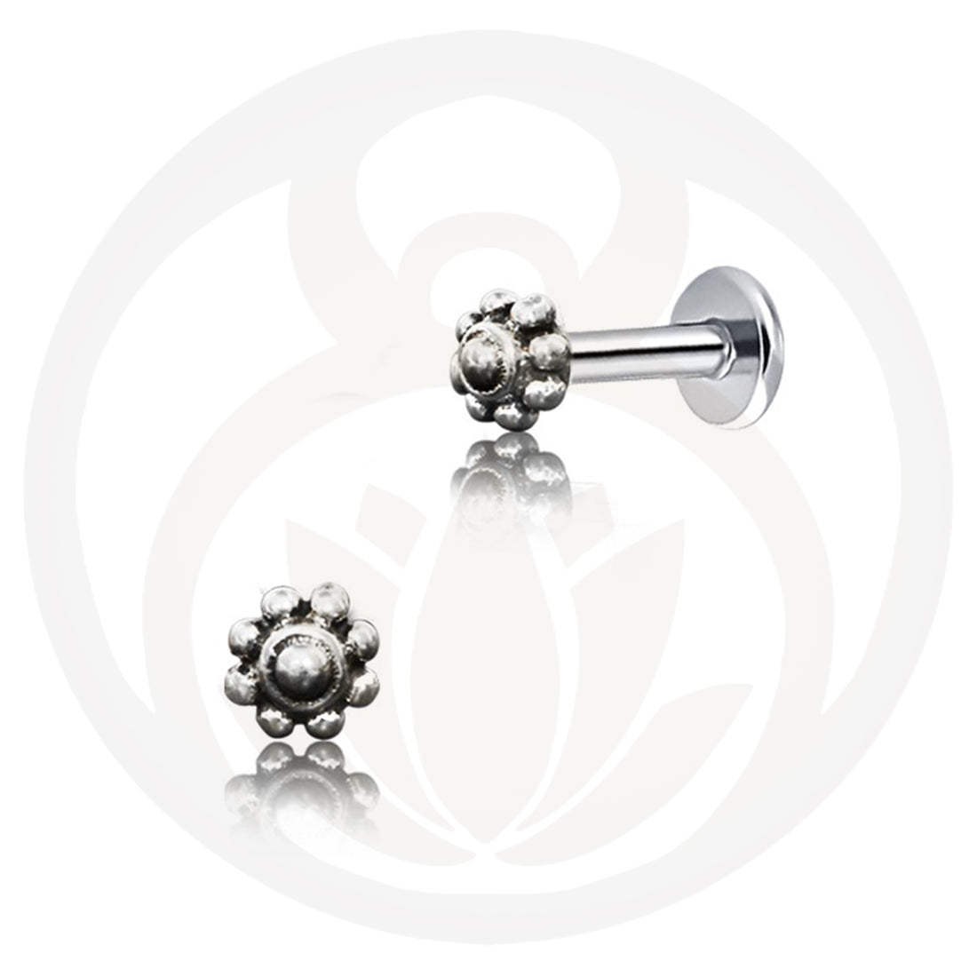 Labret Visvasa Gold/Silver