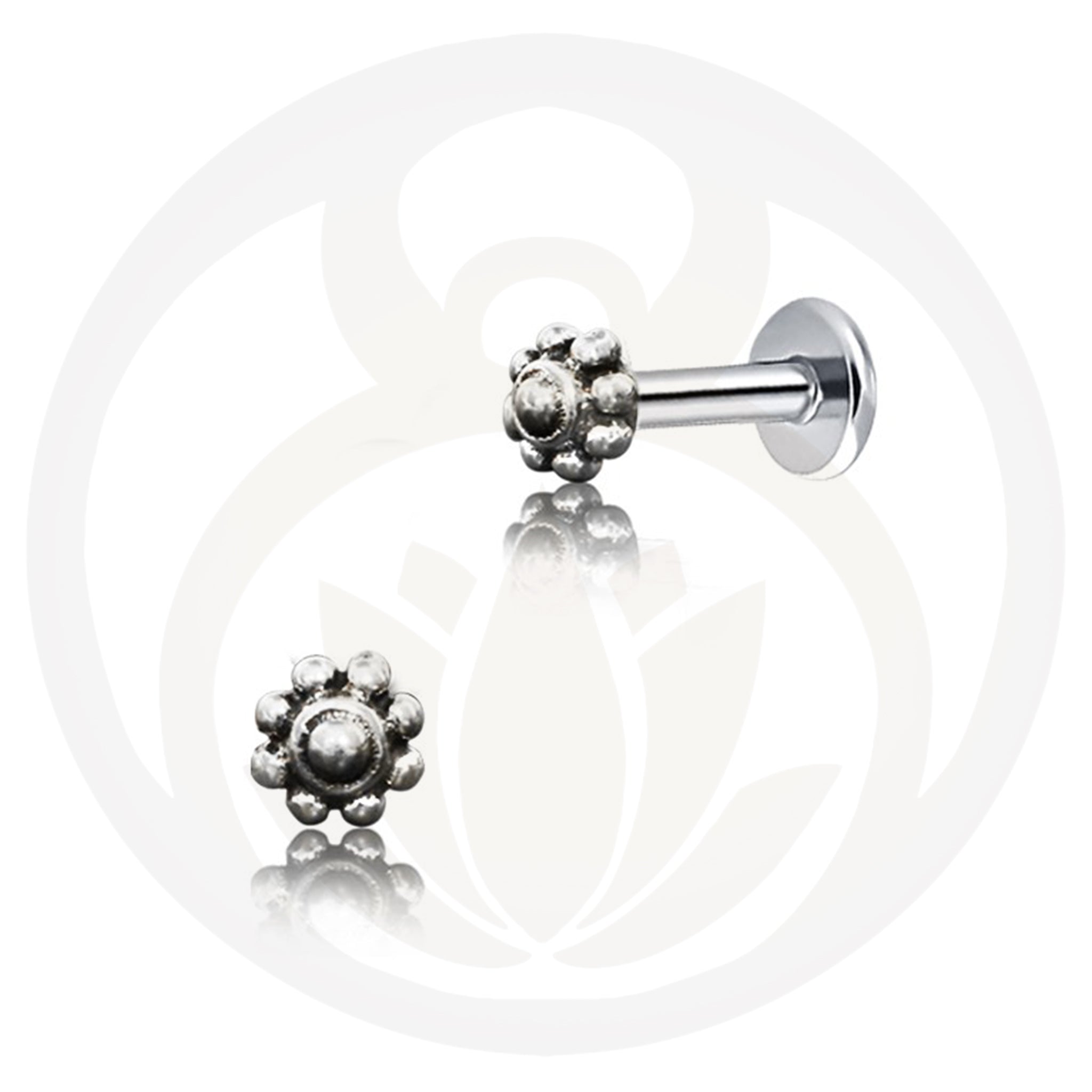 Labret Visvasa Gold/Silver