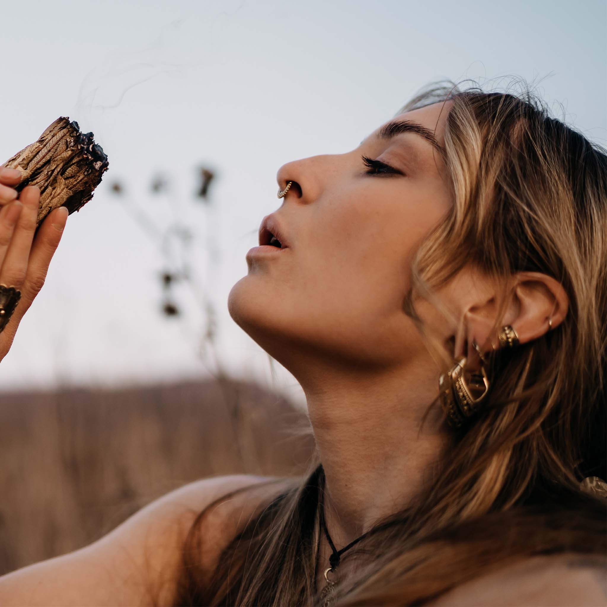 Ear weights Alpine Gold