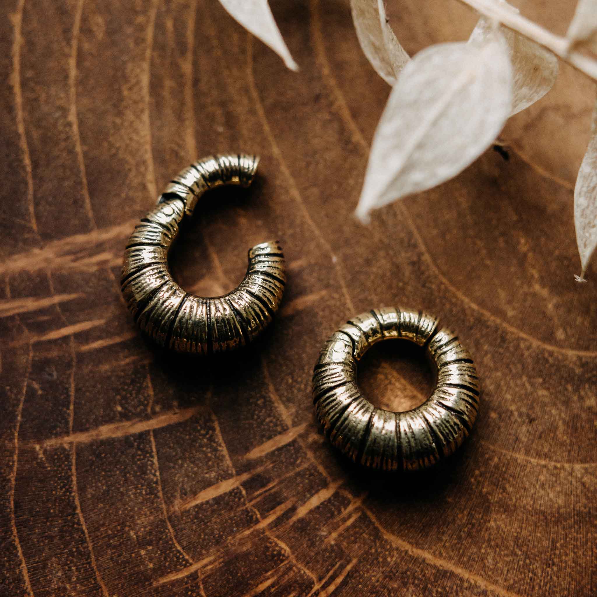 Haikili Gold ear weights
