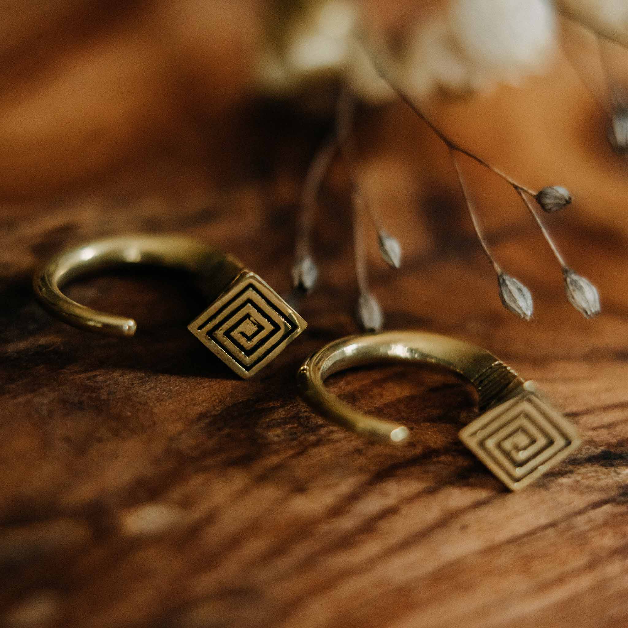 Ear weights Raka Gold