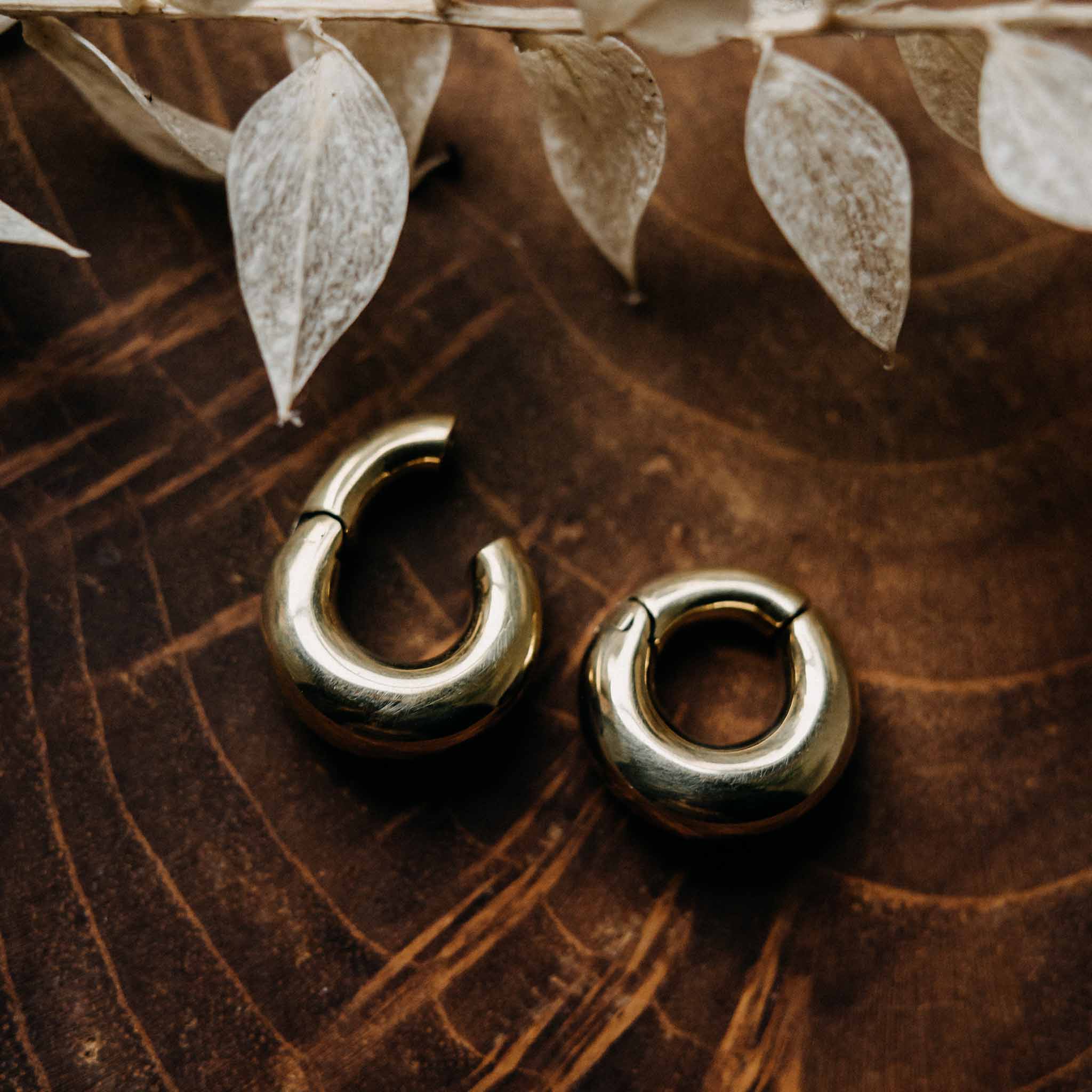 Haikili Gold ear weights