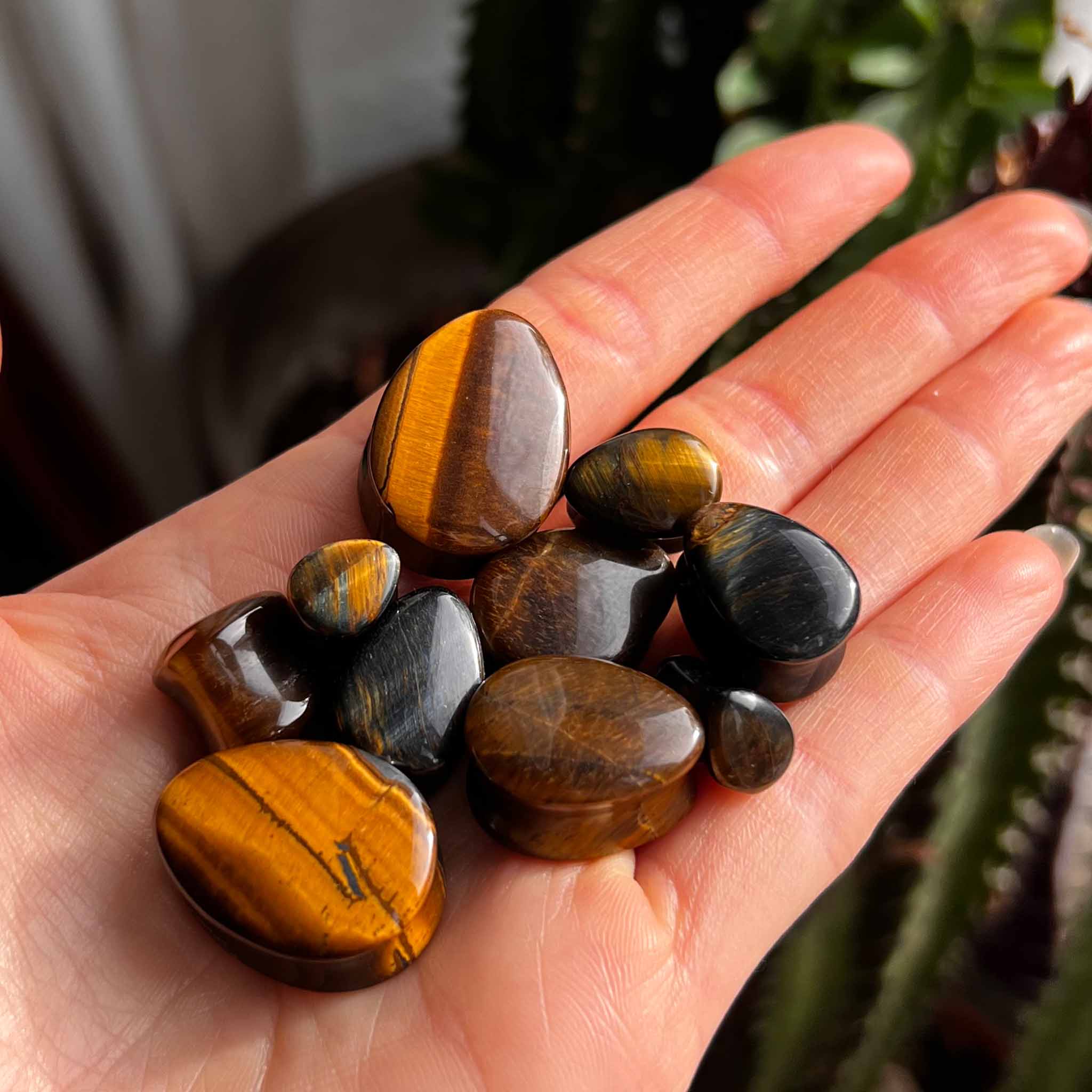 Plug Drops Tiger Eye