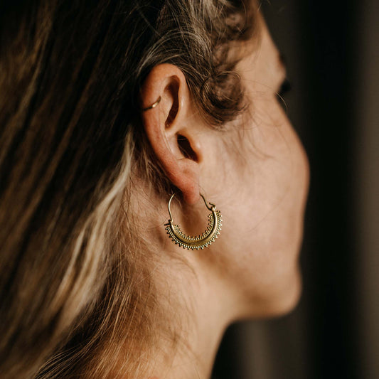 Aviva Gold/Silver Earrings