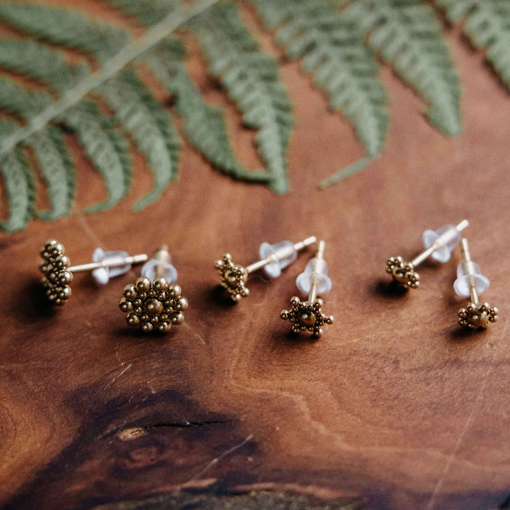 Stud Earrings Fido Gold