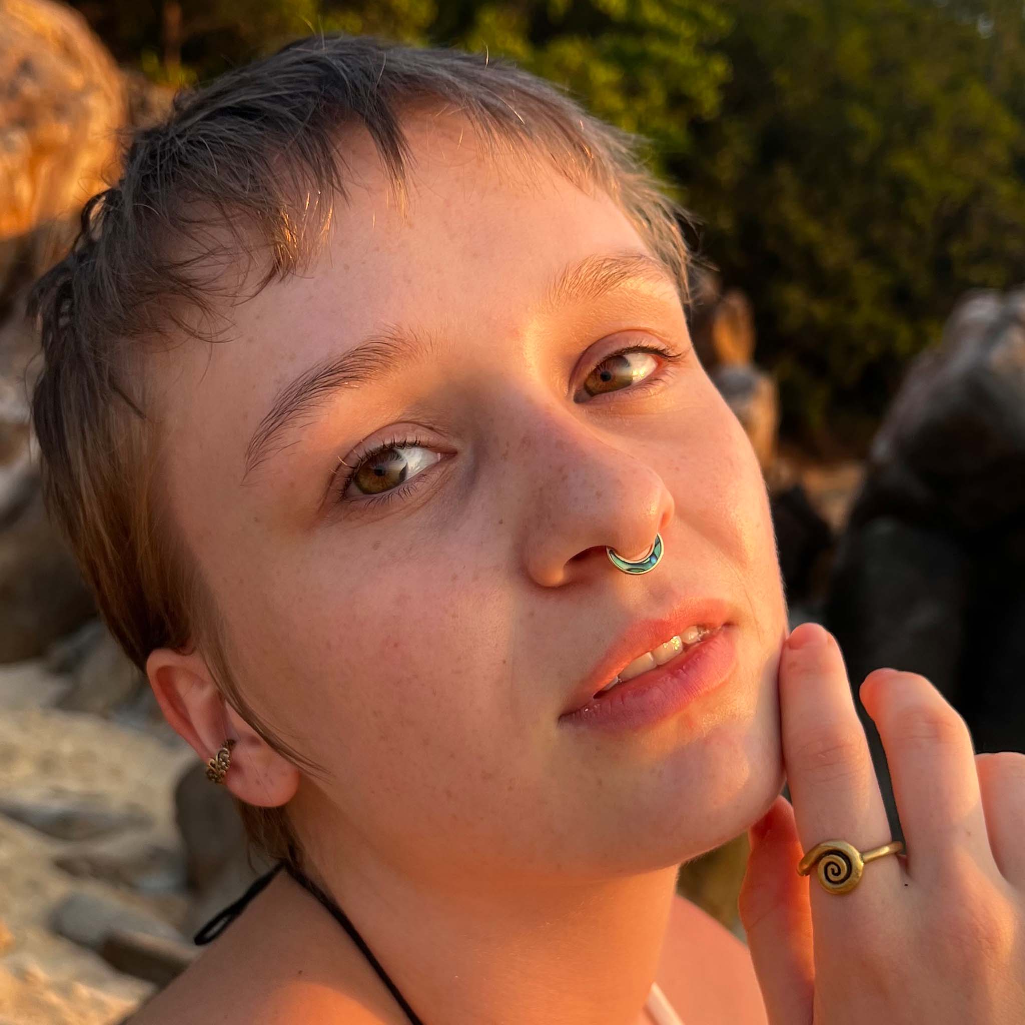 Septum abalone shell